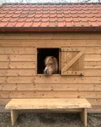 Stal op maat, Stalling, 2 of 3 paarden of pony's