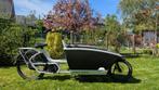 Vélo cargo électrique Urban Arrow (batterie défectueuse), Vélos & Vélomoteurs, Vélos | Vélos avec bac, Bâche, Autres marques, Enlèvement