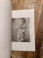 W. de Terlikowski par Jan-Topass, Boeken, Ophalen of Verzenden, Gelezen, Schilder- en Tekenkunst, Jan-Topass