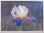 Aquarel schilderij, Ophalen