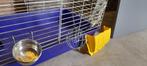 Cage pour cochon d'inde + tous les accessoires, Kooi, Gebruikt, Hamster, 75 tot 110 cm