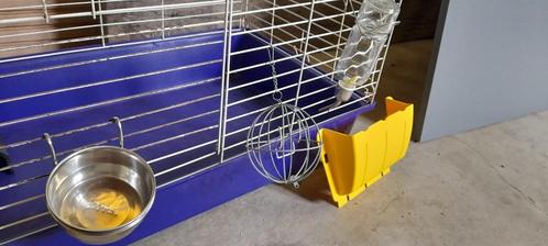 Cage pour cochon d'inde + tous les accessoires, Animaux & Accessoires, Rongeurs & Lapins | Cages & Clapiers, Utilisé, Cage, Moins de 60 cm