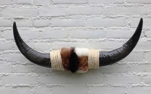 Texas style BULLBAR- 67 cm - afgewerkt met koeienvel en touw, Verzamelen, Dierenverzamelingen, Nieuw, Overige typen, Boerderijdier