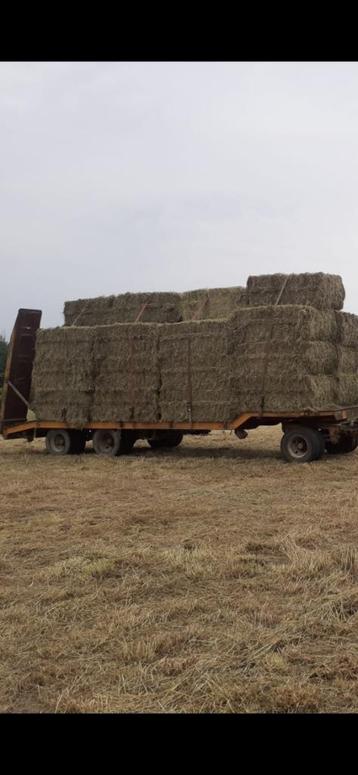 Hooi te koop, Zakelijke goederen, Landbouw | Veevoer, Ophalen