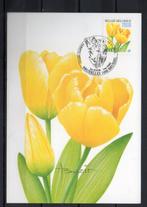 Année 2003 : Carte maximum 3223 - Tulipe Darwin - Buzin - Ob, Timbres & Monnaies, Timbres | Europe | Belgique, Enlèvement ou Envoi