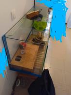 Annonce pour aquarium d'occasion - Excellent état !, Animaux & Accessoires, Enlèvement ou Envoi
