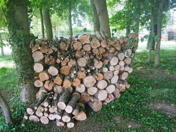 Brandhout te koop, Tuin en Terras, Brandhout, 3 tot 6 m³, Ophalen of Verzenden, Overige houtsoorten, Blokken