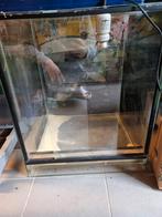 Terrarium, Dieren en Toebehoren