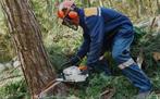 Boom kappen, Diensten en Vakmensen, Wasserettes, Droogkuis en Strijkservice