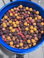 +-50kg voerboilies, Watersport en Boten, Hengelsport | Karpervissen, Ophalen, Zo goed als nieuw, Overige typen