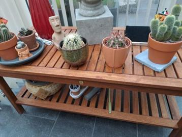Salontafel in de tuin, veranda in FSC-teakhout beschikbaar voor biedingen