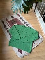Zalig zachte & warme groene trui met zwarte polka dots, Maat 42/44 (L), Ophalen of Verzenden, Zo goed als nieuw, Lokale boutique