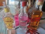 Mini gin vodka en whisky, Ophalen of Verzenden, Nieuw