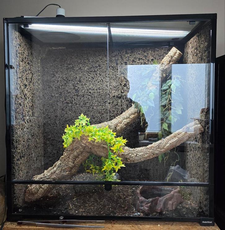 Habistat 90x90x45, Animaux & Accessoires, Reptiles & Amphibiens | Accessoires, Comme neuf, Terrarium ou Paludarium, Enlèvement