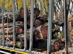 Populier 8 ton, Tuin en Terras, 6 m³ of meer, Ophalen, Overige houtsoorten, Stammen