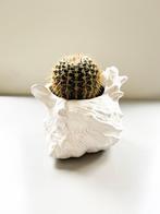 Vintage schelp vaas is wit aardewerk, Huis en Inrichting, Woonaccessoires | Vazen, Gebruikt, Wit, Aardewerk of Porselein, Ophalen of Verzenden