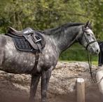 LeMieux Carbon Mesh Zwart CC Spring Dekje SALE!, Dieren en Toebehoren, Ophalen of Verzenden, Nieuw, Dekje