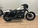 harley davidson, 2 cilinders, Bedrijf, 883 cc, Meer dan 35 kW