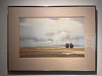 aquarel - Peter Hall - signed - South Africa, Ophalen of Verzenden