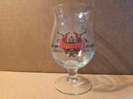 Duvel glas Gentse feesten 2019, Ophalen of Verzenden, Zo goed als nieuw, Duvel