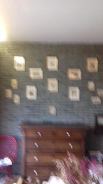 15 Ingekaderde antieke schilderijtjes daterend van 1897-1899 beschikbaar voor biedingen