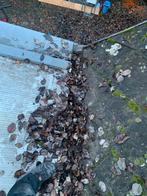 Nettoyage goutiere, Enlèvement, Neuf, Cuivre, Robinet