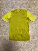 Fietstruitje Rapha, Ophalen, Gebruikt, Heren, L