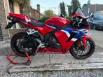 Honde cbr 600 rr 2025, Motoren, Motoren | Honda, 4 cilinders, Super Sport, Particulier, Meer dan 35 kW
