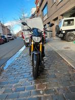 Yamaha MT09, Permis Moto A, Plus de 35 kW, 2 cylindres, Particulier