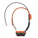 Gps et colliers Garmin pour chien de chasse ✅, Ophalen of Verzenden, Nieuw