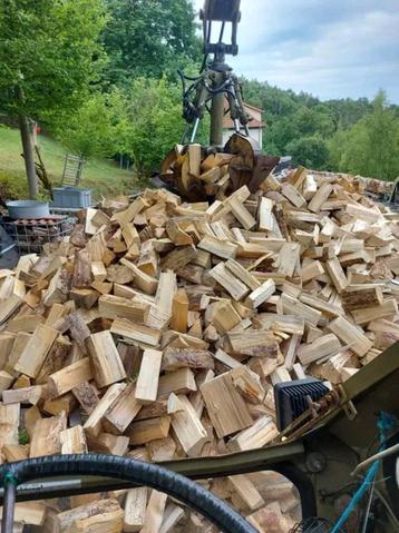 Brandhout Droog beukenhout  beschikbaar voor biedingen