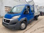 Fiat Ducato Maxi, Cuir, Achat, Entreprise, Boîte manuelle