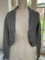Gilet Bolero de Massimo Dutti, taille S, Vêtements | Femmes, Pulls & Gilets, Enlèvement ou Envoi, Taille 36 (S), Gris