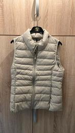 Bodywarmer, Enlèvement ou Envoi, Taille 36 (S), Beige