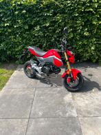 Honda msx 125, Motoren, Motoren | Honda, Particulier, 125 cc, Overig, 11 kW of minder