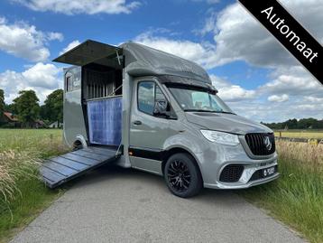 Mercedes-Benz Sprinter 314 AMG 2-paards paardenvrachtwagen B beschikbaar voor biedingen