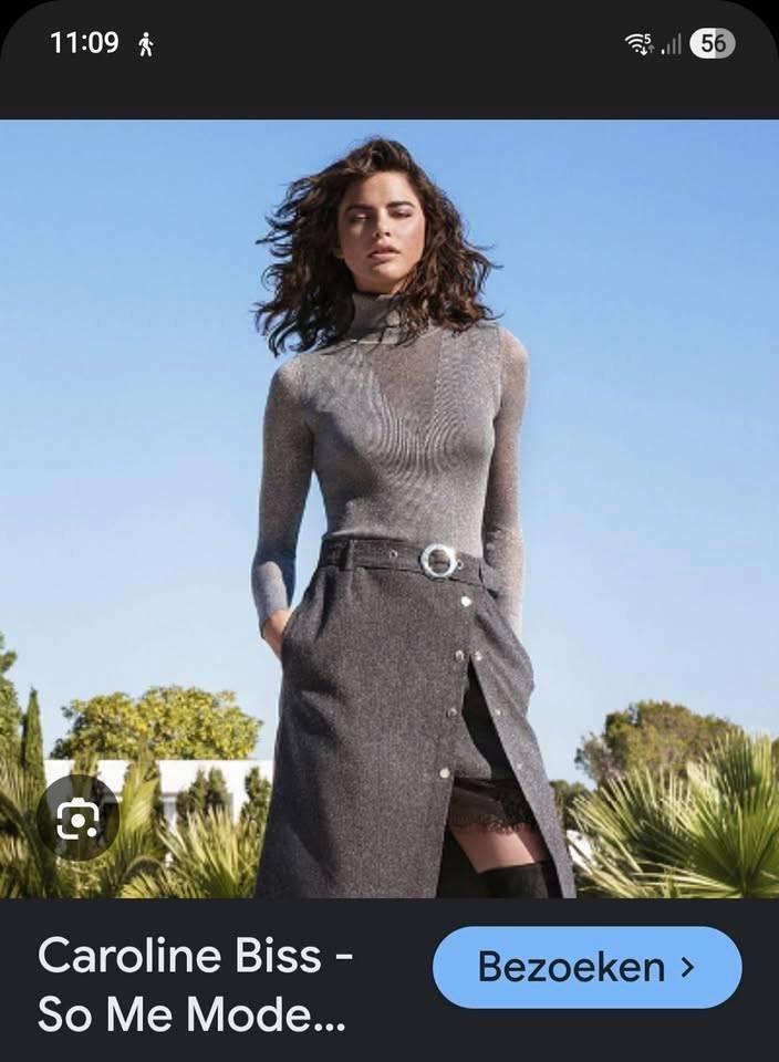 Caroline Biss, rok mt 44, Kleding | Dames, Rokken, Zo goed als nieuw, Maat 42/44 (L), Grijs, Onder de knie, Ophalen of Verzenden