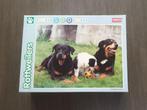 Rottweilers - Puzzle 500 pièces, 500 à 1500 pièces, Puzzle, Enlèvement, Neuf