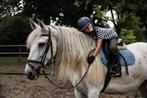 8 jarige merrie, Dieren en Toebehoren, Paarden, Merrie, Niet van toepassing, 7 tot 10 jaar, 160 tot 165 cm