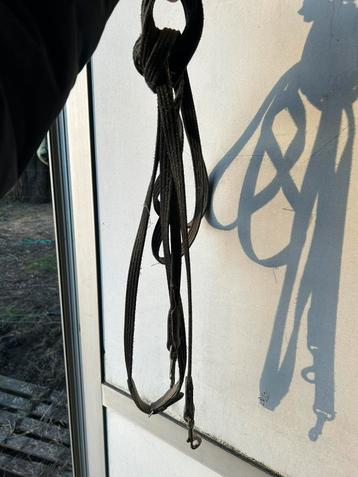 Zwarte slofteugel beschikbaar voor biedingen