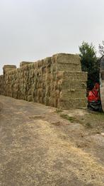 Hooi top kwaliteit, Dieren en Toebehoren, Ophalen, Overige soorten