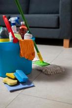 Femme menage 0465630839