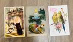 Lot 1925 Dierenkaarten – Honden bij Haard, Kat & Parkieten, Ophalen of Verzenden, Gebruikt