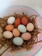 Eieren van scharrelkippen, Enlèvement