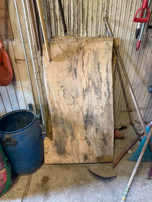 Paardenkastanje schaaldelen droog, Doe-het-zelf en Bouw, Hout en Planken, Ophalen