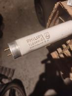 Néon fluorescent tl, Nieuw