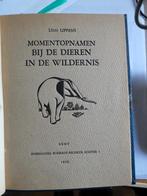 Leon Lippens - Dieren in de wildernis - Afrika, Antiek en Kunst, Ophalen of Verzenden