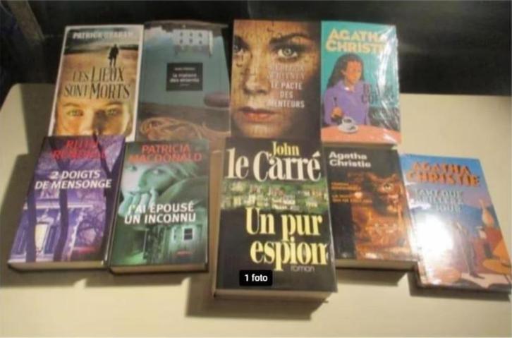 9 prima Franstalige Thriller en Detective Boeken, Boeken, Detectives, Zo goed als nieuw, Ophalen of Verzenden