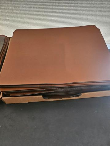 Afwasbare placemats  beschikbaar voor biedingen