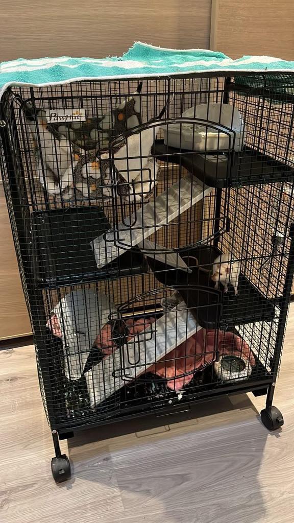 Rattenkooi en accessoires, Dieren en Toebehoren, Knaagdieren en Konijnen | Hokken en Kooien, Zo goed als nieuw, Kooi, Ophalen